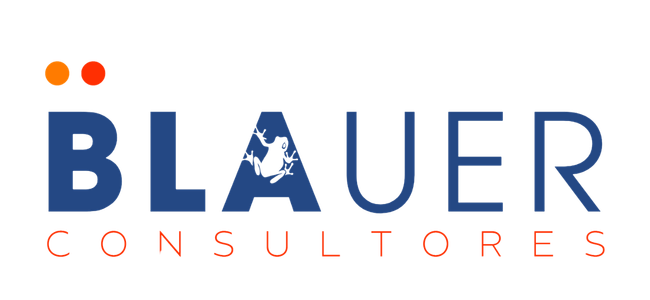 Blauer Consultores